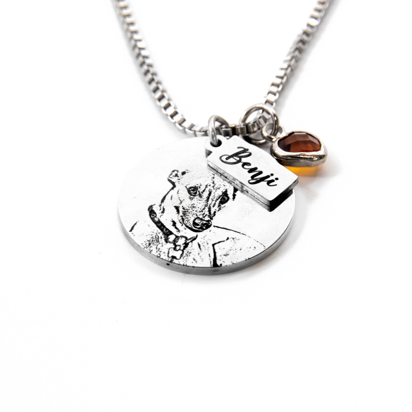 Özel Kolye - Evcil Hayvan Anahatları